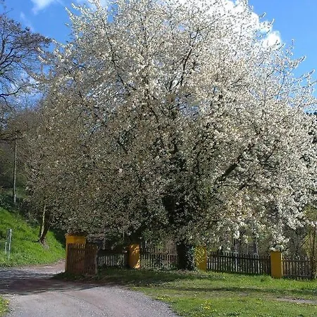 Ottmanach Josefhof شقة *