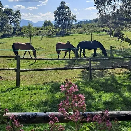 Apartament Ottmanach Josefhof *