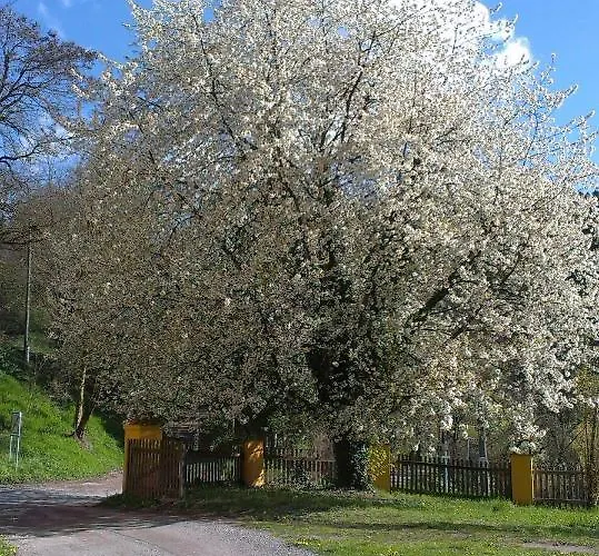 Ottmanach Josefhof Apartmán *