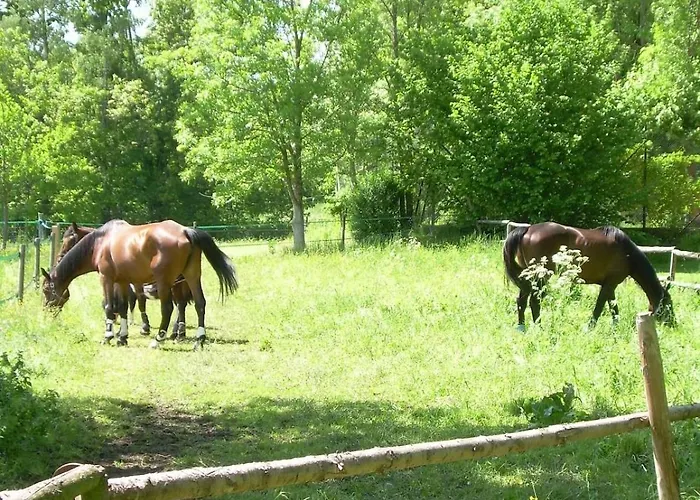 Apartment Ottmanach Josefhof *